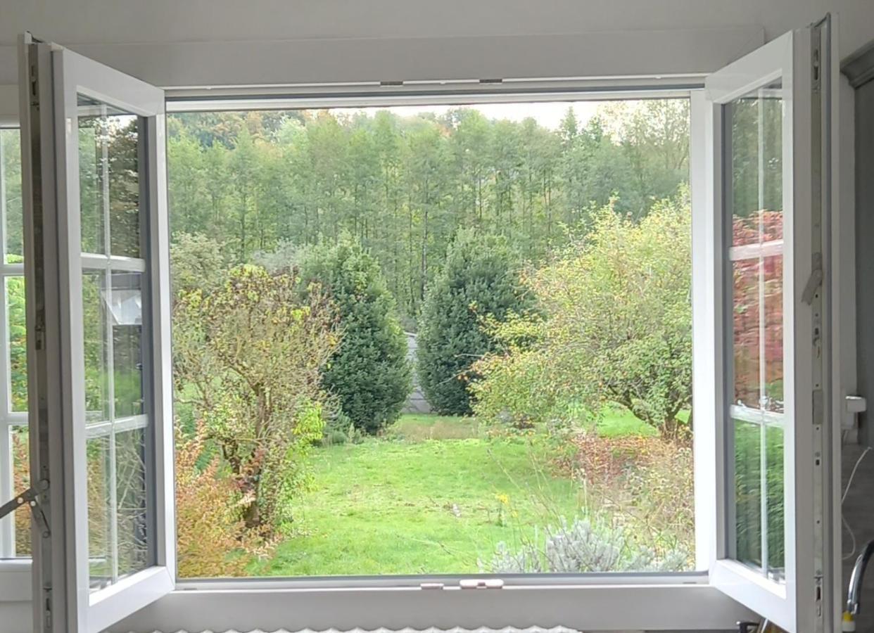 Ferienwohnung Au Bord Du Vilpion Marle-et-Behaine Exterior foto